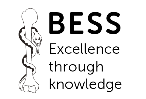 BESS logo